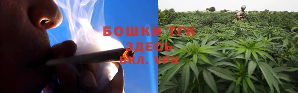 ГАЛЛЮЦИНОГЕННЫЕ ГРИБЫ Зеленодольск