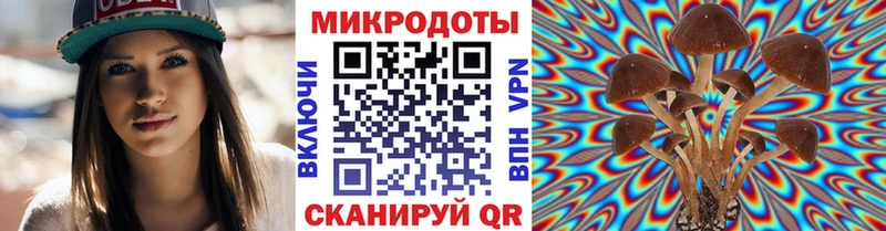 Купить закладки  Скопин  Псилоцибиновые грибы Psilocybe 
